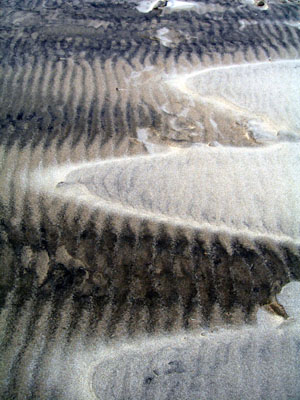 Sand Ridges