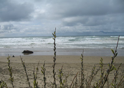 Beach  View