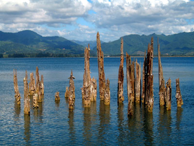 Worn Posts, Bay
