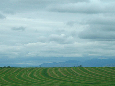 Plowed Fields, Mountains