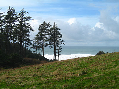 Grass, Trees, and Pacific Ocean
