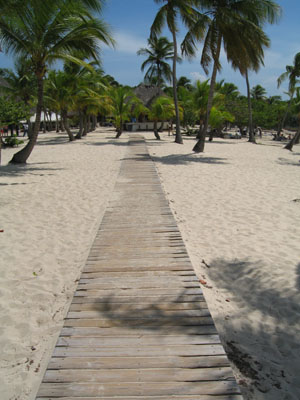 Beach Walk