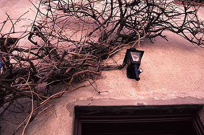 Entrance, New York City, March 1999