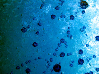 Blue Glass, Tanner Springs Park 3