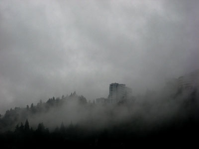 Fog, Marquam Hill
