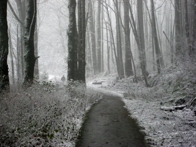 Snowy Trail, Council Crest Park