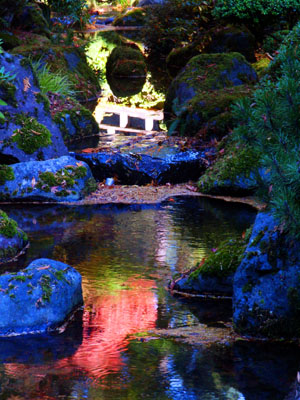 Stream, Portland Japanese Gardens