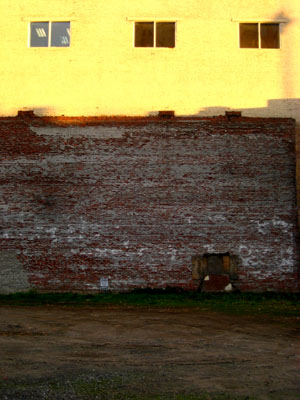 Vacant Lot, Brick Wall, Office Windows