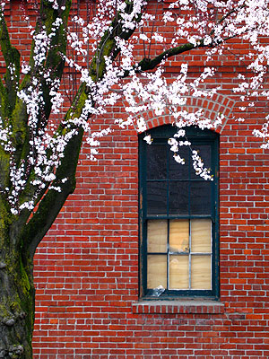 Cherry Tree, Brick Building 2