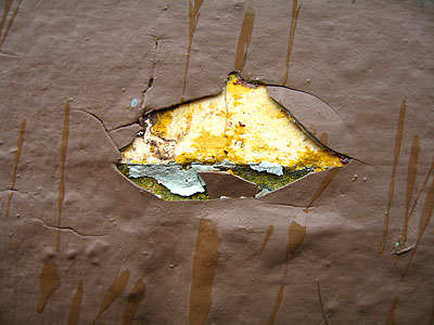 Chipping Paint 5