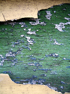 Chipping Paint 6