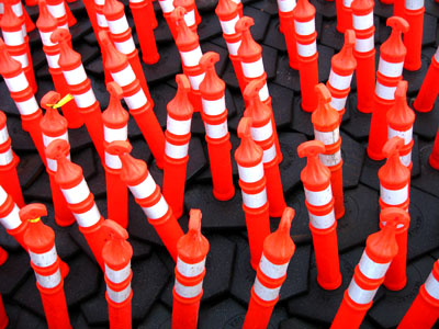 Cones, Portland, Oregon, December 2006