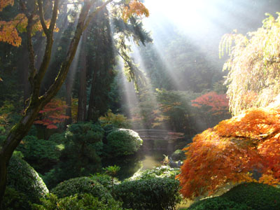 Japanese Gardens 1
