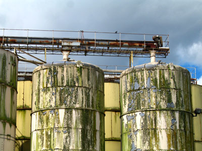 Storage Tanks, Darigold Compound 1