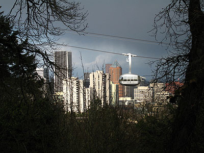 Tram and Downtown 1