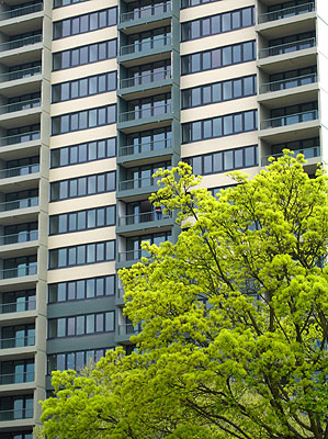 Trees, Harrison Tower