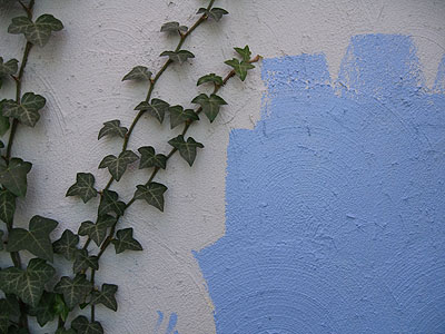 Graffiti 