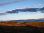Oregon Landscapes Gallery
