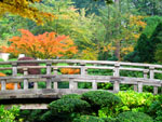 Japanese Gardens Gallery