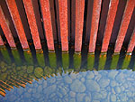 Tanner Springs Park Gallery